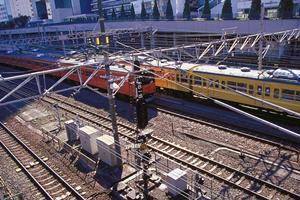 新宿の夜を満喫！クラブシーン最新トレンド情報大公開