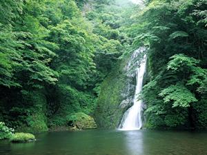 韓国・ソウル江南に位置する東横INNソウル江南の魅力と店舗詳細