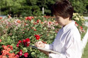 【公式情報】東横INN浅草蔵前2｜東京・蔵前駅徒歩1分のビジネスホテルの魅力と最新情報