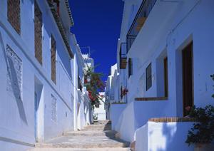 横浜駅徒歩7分の快適ステイを実現！東横イン横浜駅西口の魅力と詳細ガイド
