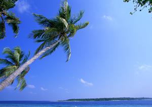 徳島駅近くの快適なビジネスホテル【東横INN徳島駅前】の魅力と詳細情報