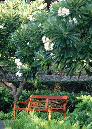 富山駅近くのビジネスホテル｜東横INN富山駅新幹線口2の魅力と詳細情報